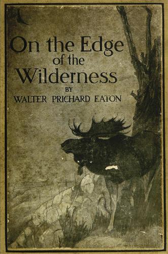 Cover for On the edge of the wilderness