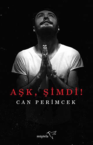 Cover for Ask Simdi!