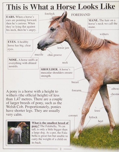 Cover for I Love Horses and Ponies (Little Cloud Series)