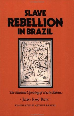 Cover for Slave Rebellion in Brazil