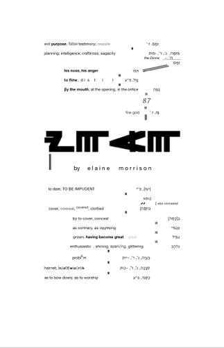 Cover for Zmam