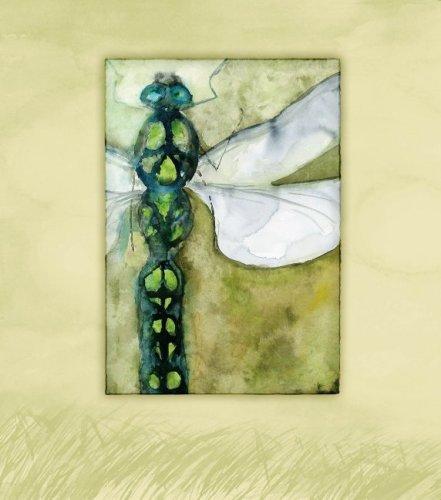 Cover for Dragonfly Fields Blank Journal