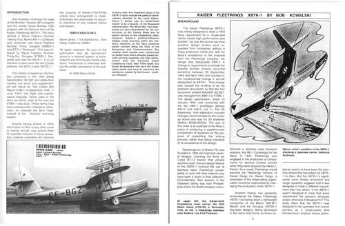 Cover for Naval Fighters Number Forty-Eight 