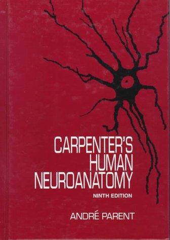 Cover for Human neuroanatomy