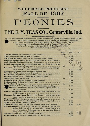 Cover for Peonies