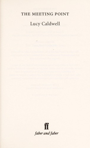 Cover for The meeting point