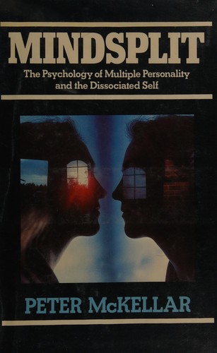 Cover for Mindsplit