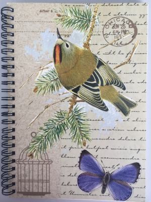 Cover for A5 Spiral N/Pad-Goldcrest