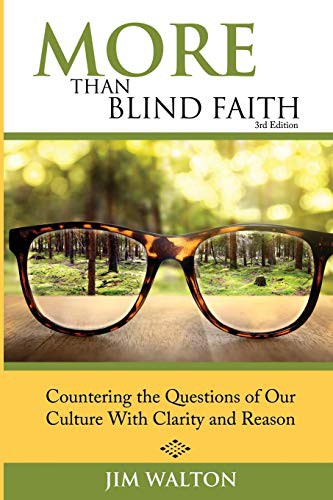 Cover for More Than Blind Faith