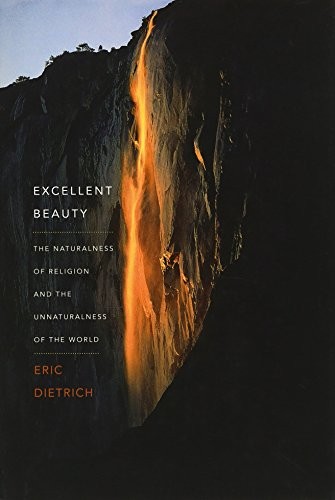 Cover for Excellent Beauty