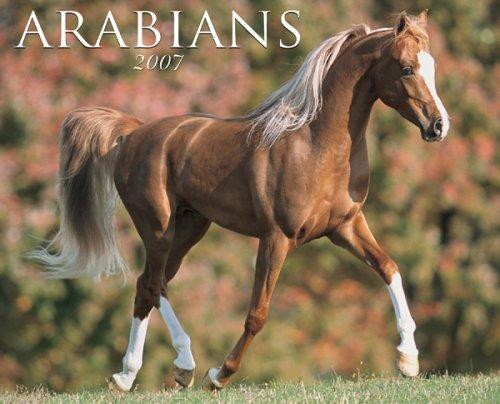 Cover for Arabians 2007 Calendar