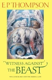 Cover for Witness against the beast