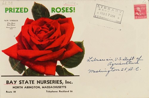 Cover for Prized roses!