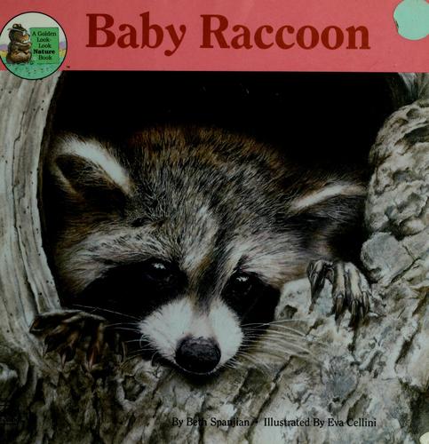 Cover for Baby raccoon