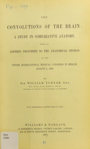 Cover for The convolutions of the brain