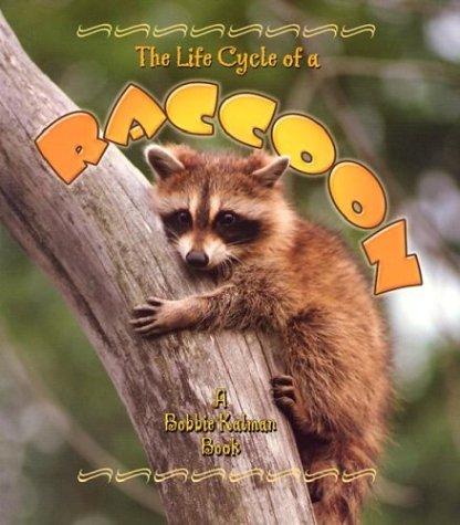 Cover for The Life Cycle of a Raccoon (The Life Cycle, 12)