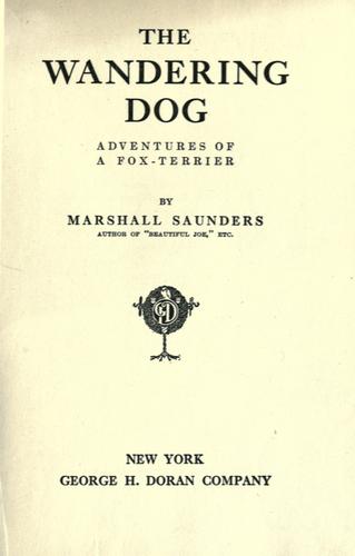 Cover for The wandering dog