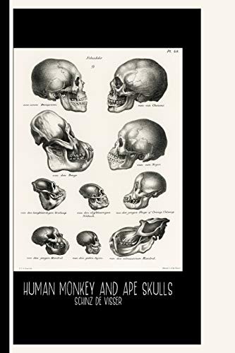 Cover for Human Monkey and Ape Skulls  by Schinz de Visser : Sketch Book