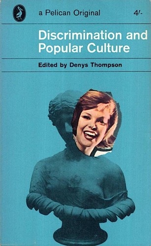 Cover for Discrimination and popular culture
