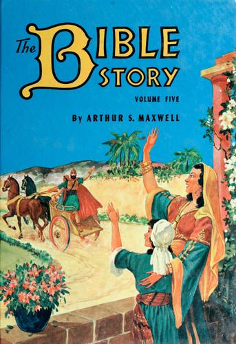 Cover for The Bible story
