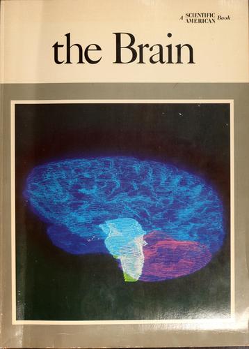 Cover for The brain
