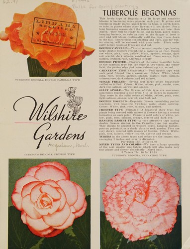 Cover for [Bulbs for spring planting]