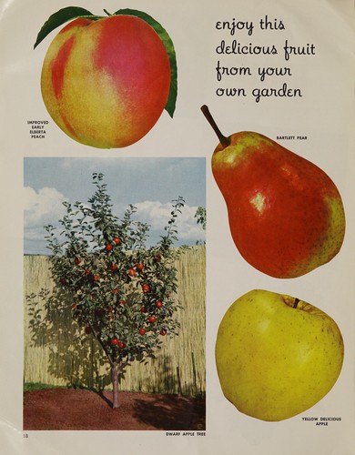 Cover for 1957 garden catalog