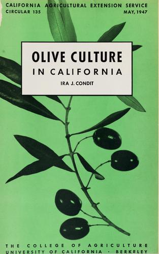 Cover for Olive culture in California