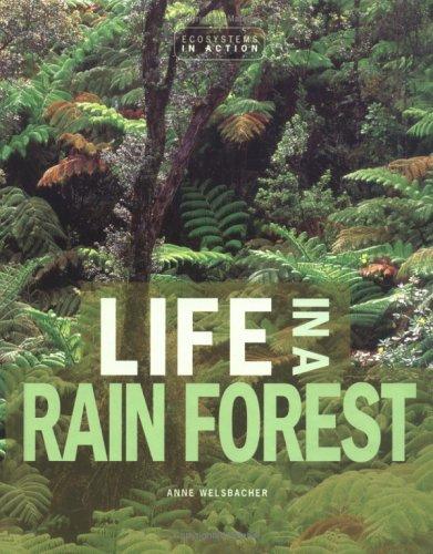 Cover for Life in a Rain Forest (Ecosystems in Action)