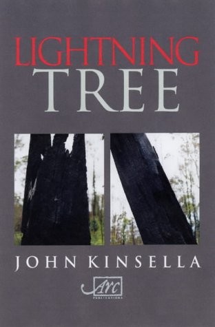 Cover for Lightning tree