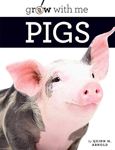 Cover for Pigs