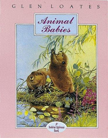 Cover for Animal Babies (The North American Wildlife Series)