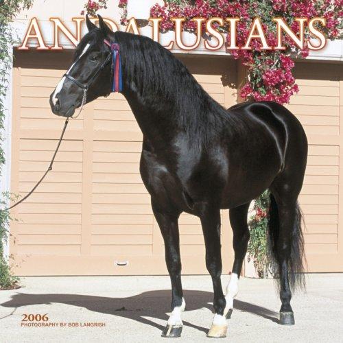 Cover for Andalusians 2006 Pet Calendar (Horses Wall Calendars)