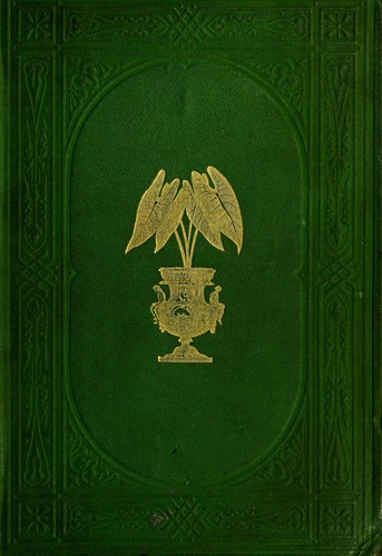 Cover for New and rare beautiful-leaved plants : containing illustrations and descriptions of the most ornamental-foliaged plants not hitherto noticed in any work on the subject