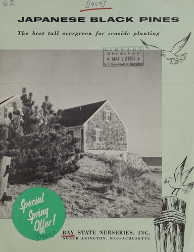 Cover for Japanese black pines