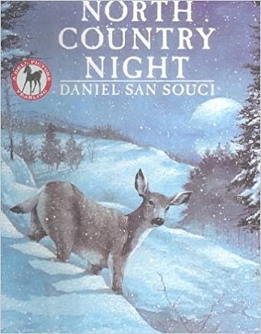 Cover for North Country Night