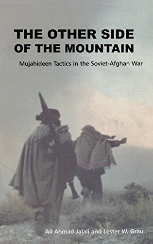 Cover for The Other Side of the Mountain