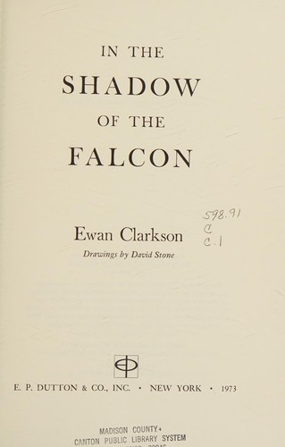 Cover for In the shadow of the falcon.