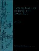 Cover for Lower Galilee during the Iron Age