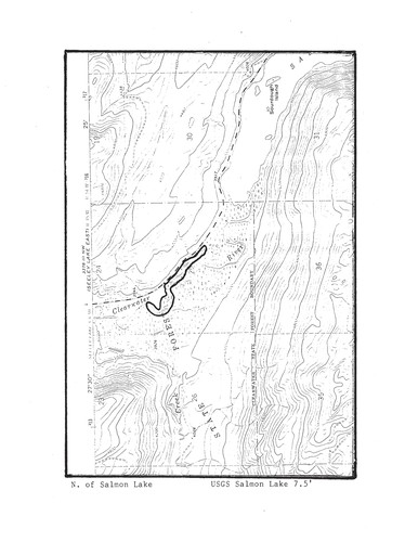 Cover for Swan Valley northern bog lemming survey