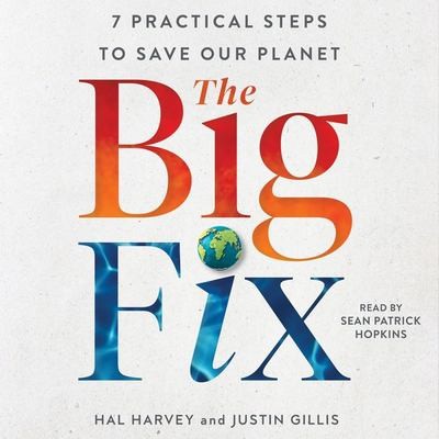 Cover for The Big Fix