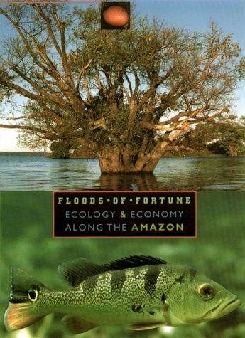 Cover for Floods of fortune