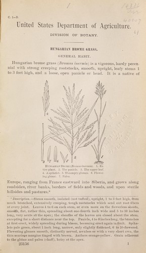 Cover for Hungarian brome grass