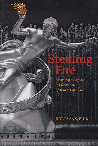 Cover for Stealing Fire