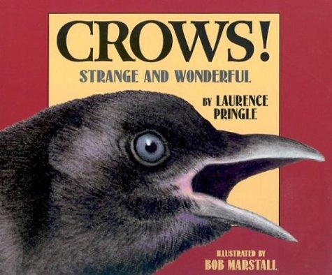 Cover for Crows!