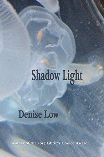 Cover for Shadow Light