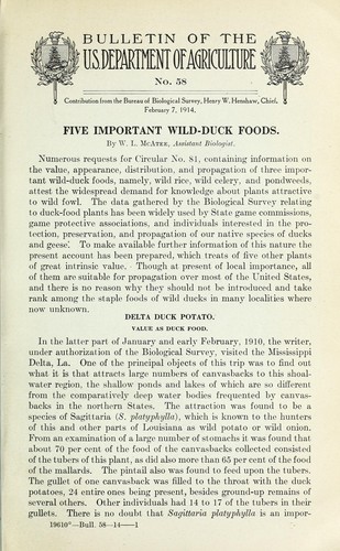 Cover for Five important wild-duck foods