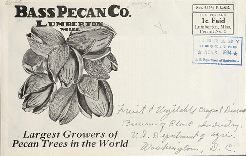 Cover for Bass Pecan Co., Lumberton, Miss., largest growers of pecan in the world