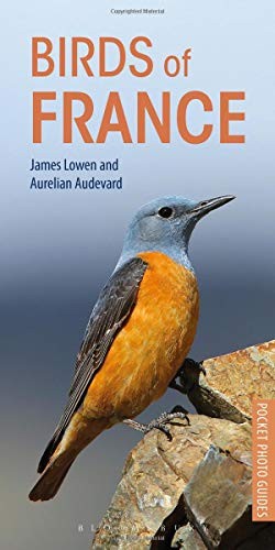 Cover for Birds of France