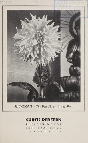 Cover for Shekinah, the best flower in the show